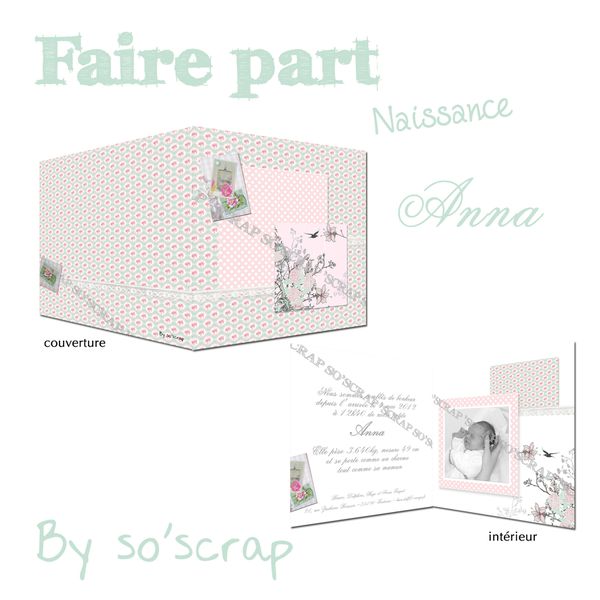 faire part naissance delphine