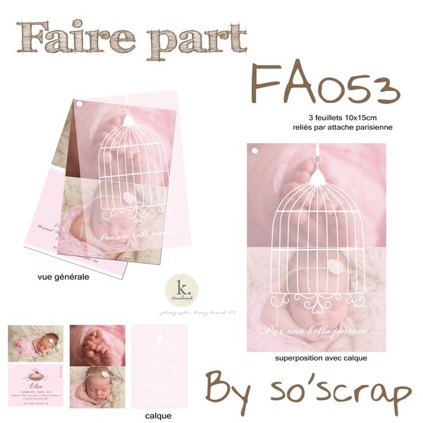 Faire-part FA053