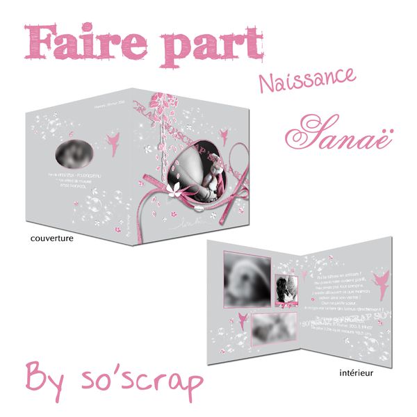faire part naissance clémire
