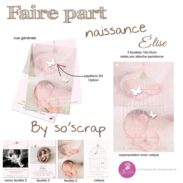 faire part naissance karine