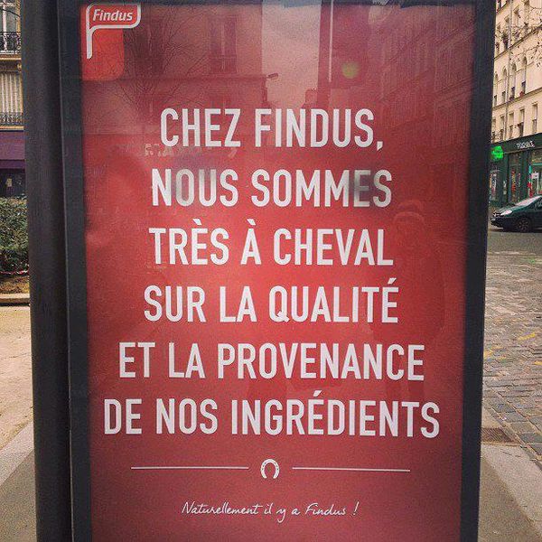 findus.jpg