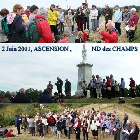 NDdesChamps_montage_07.jpg