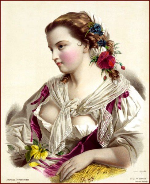 zz-ducollet-fleurs-des-champs.jpg