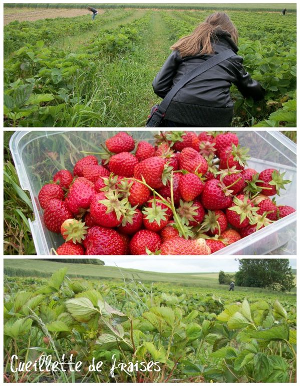 confiture-de-fraises.jpg