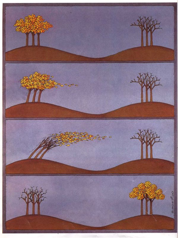 mordillo005.jpg
