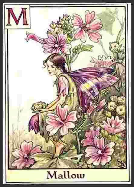 zzz-12-Barker-La-fee-fleurs-de-mauve.jpg