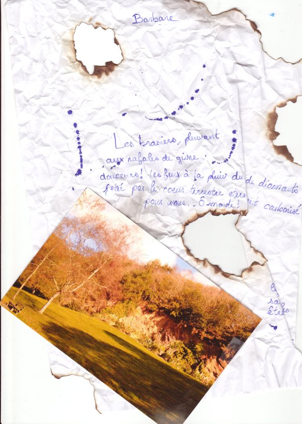 Alexandre - Barbare