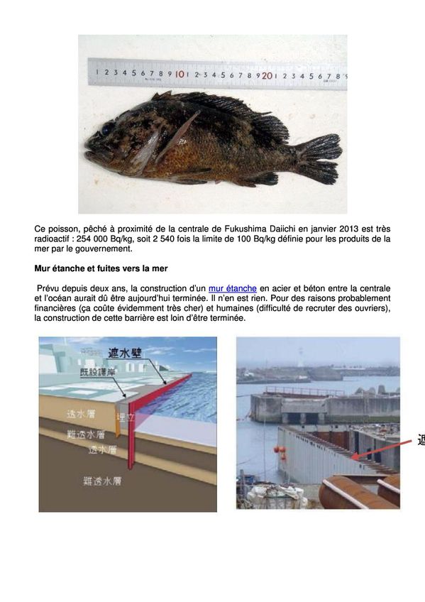 04-Urgence-Fuku.jpg
