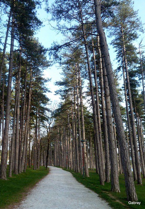 w09 - Grand chemin