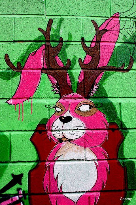 w01---Lapin.JPG