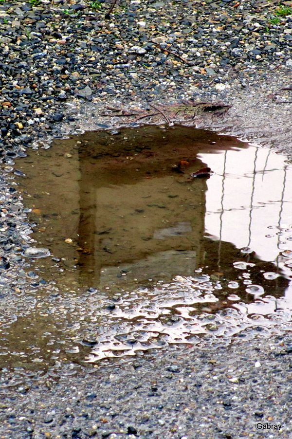 z13---Boite-dans-l-eau.JPG