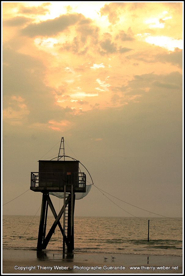 tharon Plage (6)