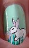Lapins-dans-l-herbe-zoom