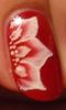 Fleurs-rouges-one-stroke-zoom.jpg