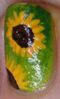 Tournesols-zoom.jpg