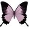 grand papillon rose et noir personnalisez sculpture photo-p
