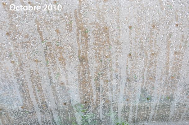 mache2010-040