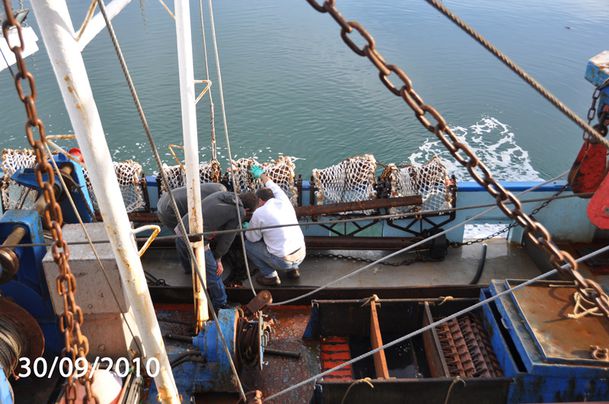 coquillesstjacques-2010-020