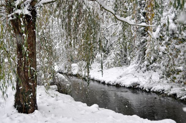 valcanville-02122010-010