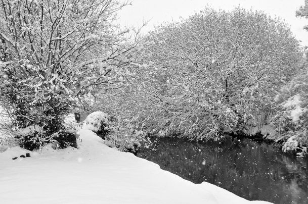 valcanville-02122010-020