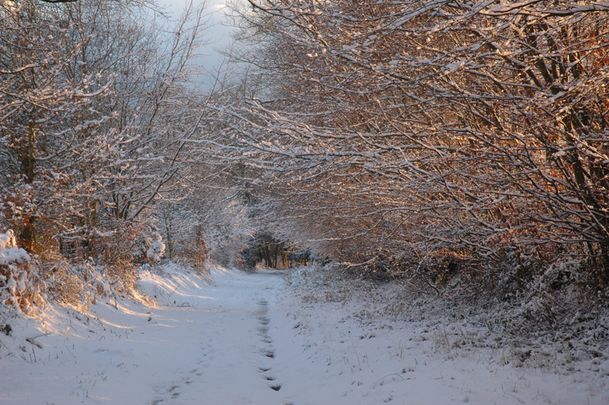 sentier-010-neige.jpg