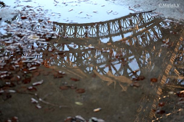 Tour Eiffel dans une flaque d'eau 1