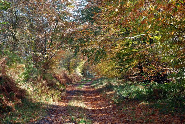 sentier-050.jpg