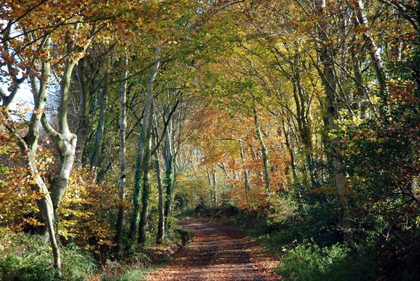 sentier-060.jpg