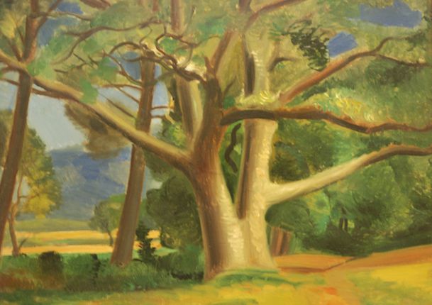 arbre-Derain-010.jpg