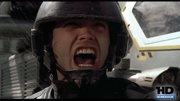 Star-img1.jpg
