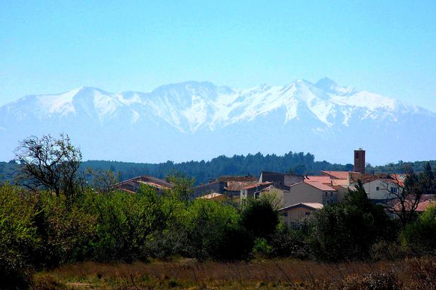 romarin16am.JPG