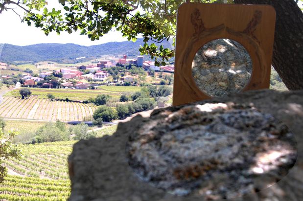bornemontner01b.JPG