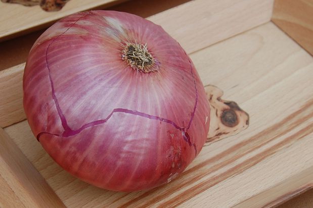 oignon13ac.JPG
