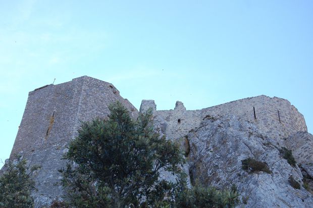 queribus01.JPG