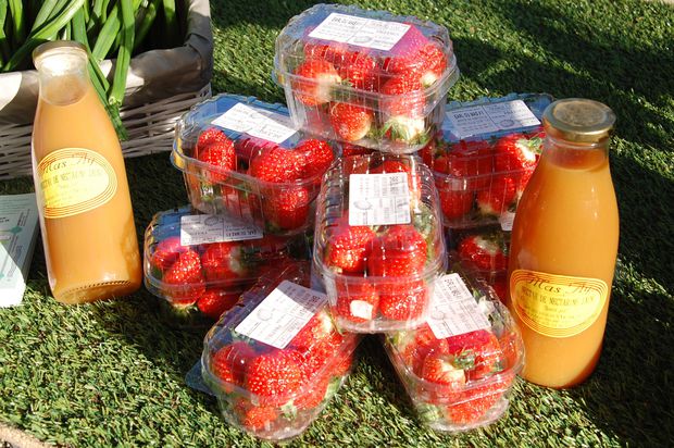 fraise14cb.JPG