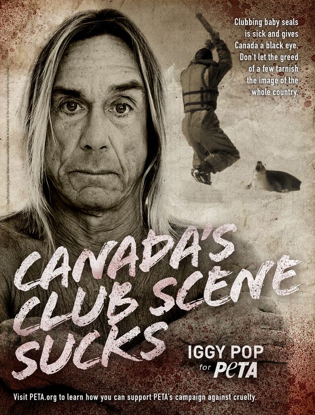 iggypop.jpg