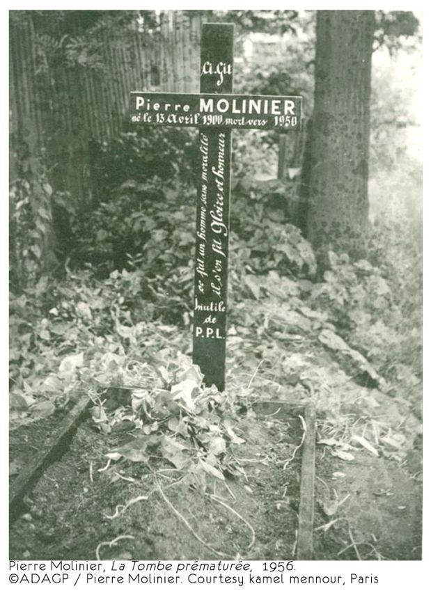 std-PIERRE-MOLINIER---copie.jpg