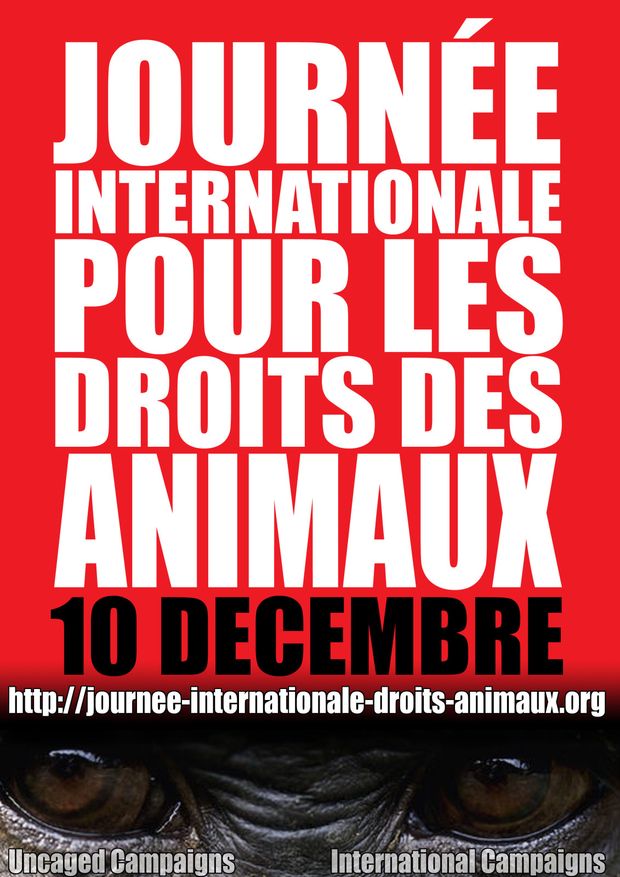 10 décembre