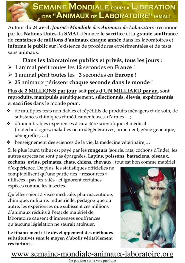 tract-SMAL-1.jpg