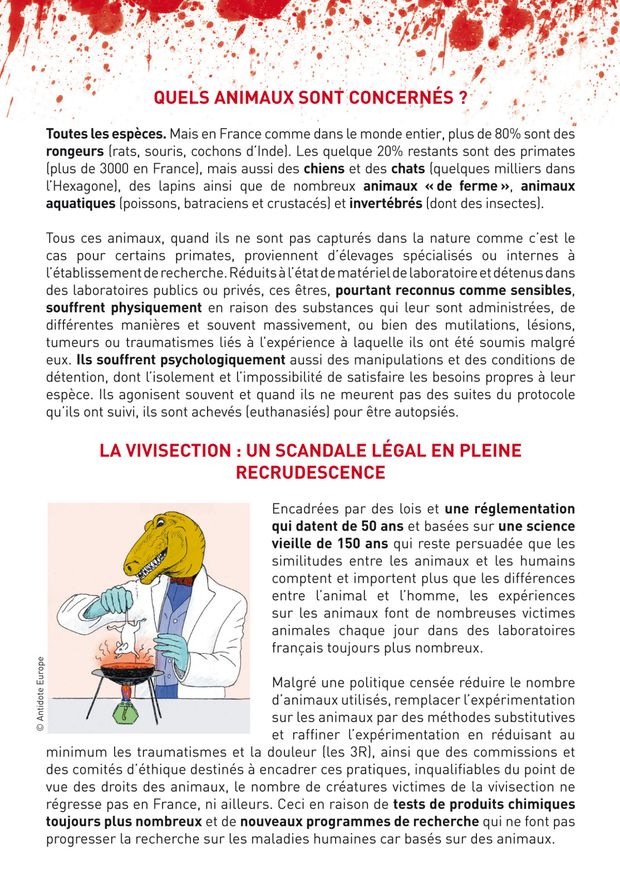 vivisection-methodes-substitutives-2.jpg
