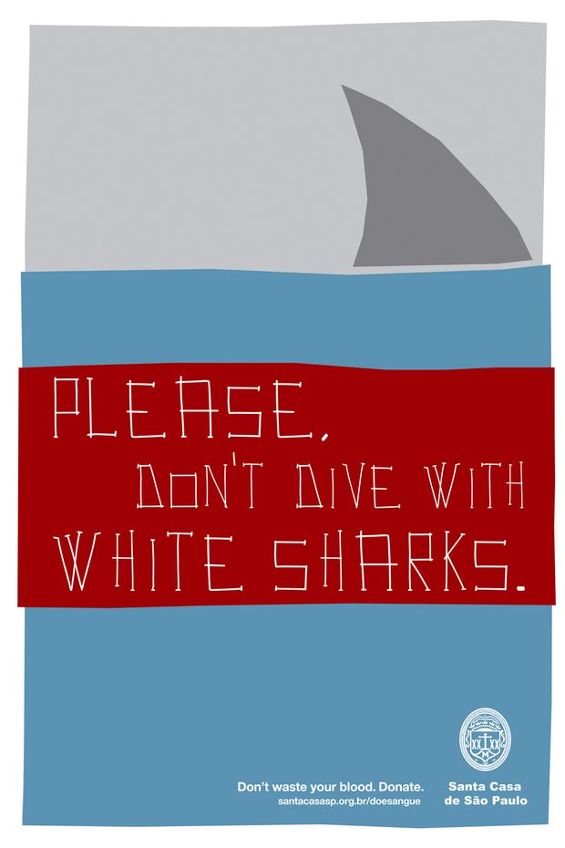 5_santacasa_hospital_shark.jpg