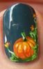 Citrouilles zoom