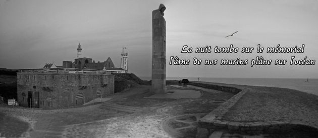Panorama(esplanade)(05)(goéland)(noir et blanc) copie copi