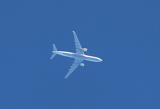 LA0A9983.JPG