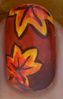 Feuilles d'automne zoom