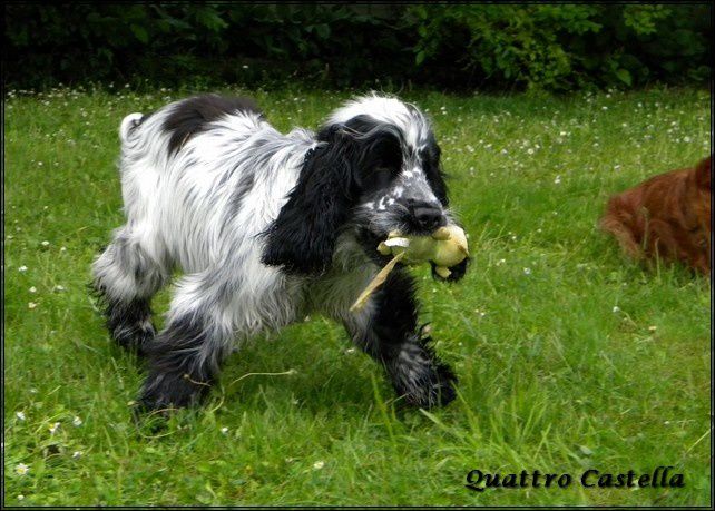 Image00145