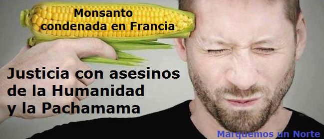 monsanto.jpg