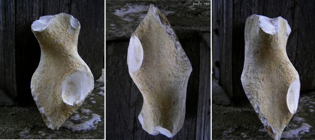 silex torses