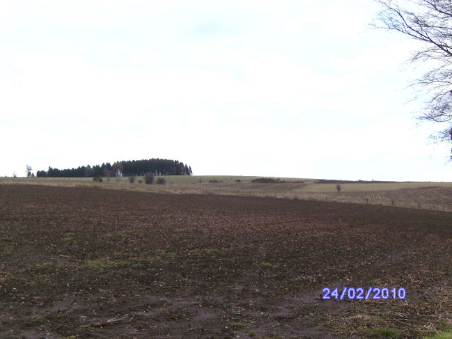 ann2010-1 084
