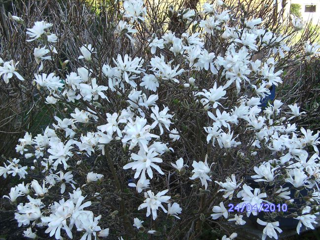 BILD2387